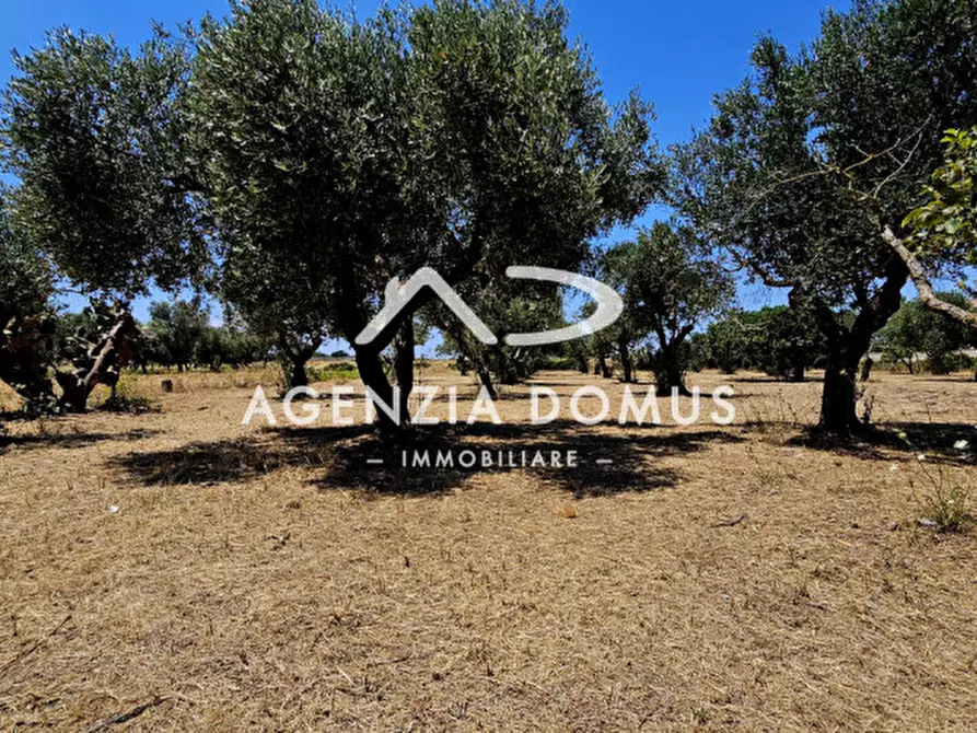 Immagine 23 di Rustico / casale in vendita  in C.da Vore a Racale