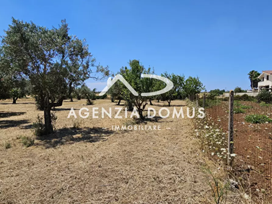 Immagine 25 di Rustico / casale in vendita  in C.da Vore a Racale