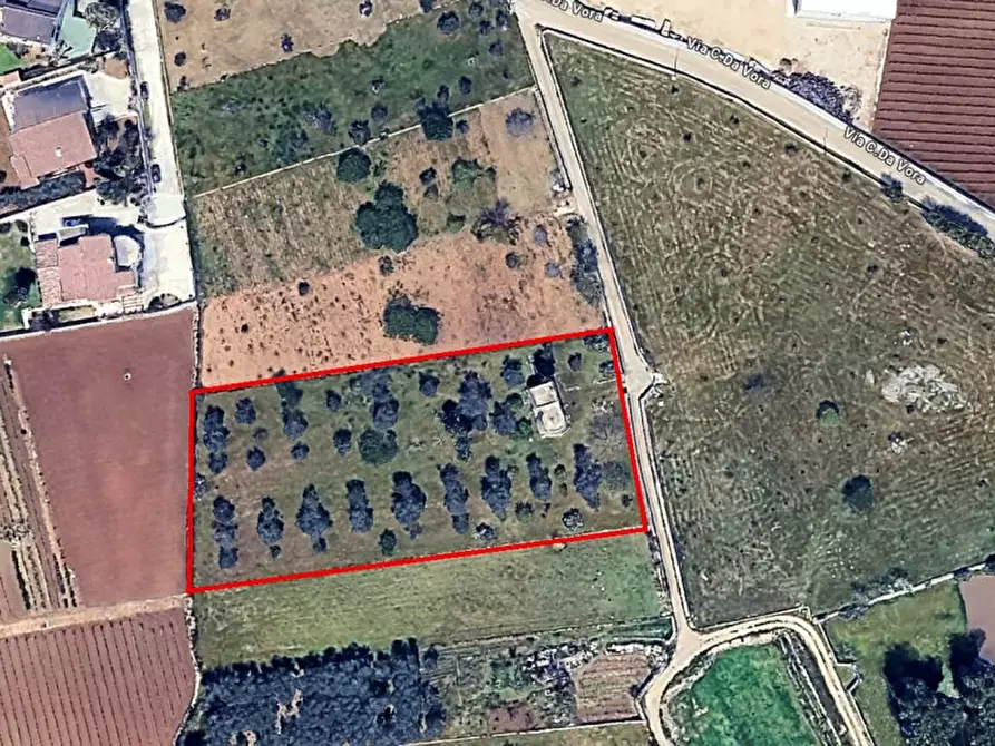 Immagine 26 di Rustico / casale in vendita  in C.da Vore a Racale