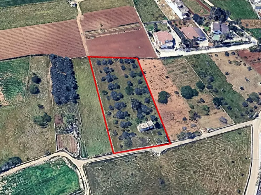 Immagine 27 di Rustico / casale in vendita  in C.da Vore a Racale