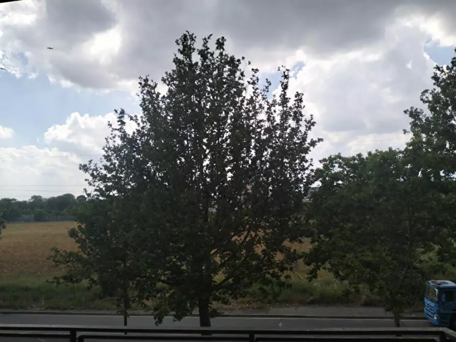 Immagine 8 di Appartamento in vendita  in Via delle Primule 44 a Torino
