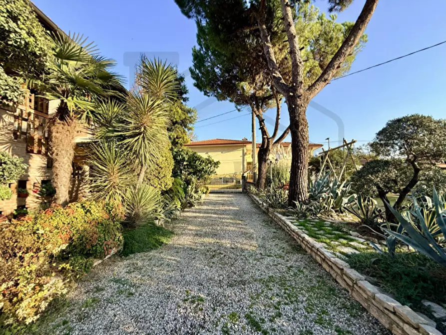 Immagine 24 di Casa bifamiliare in vendita  in Via Brenta a Montegrotto Terme