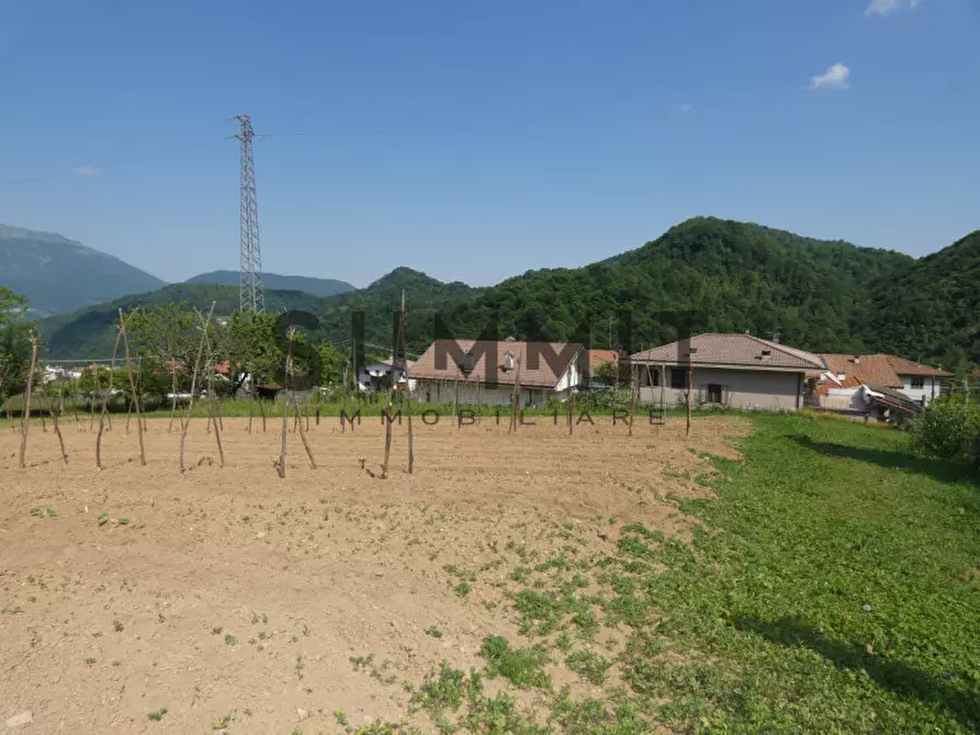 Immagine 4 di Terreno in vendita  a Valli Del Pasubio