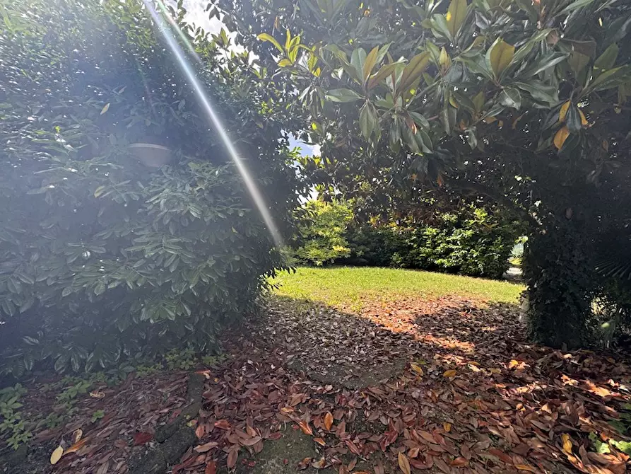 Immagine 18 di Casa indipendente in vendita  a Campolongo Maggiore