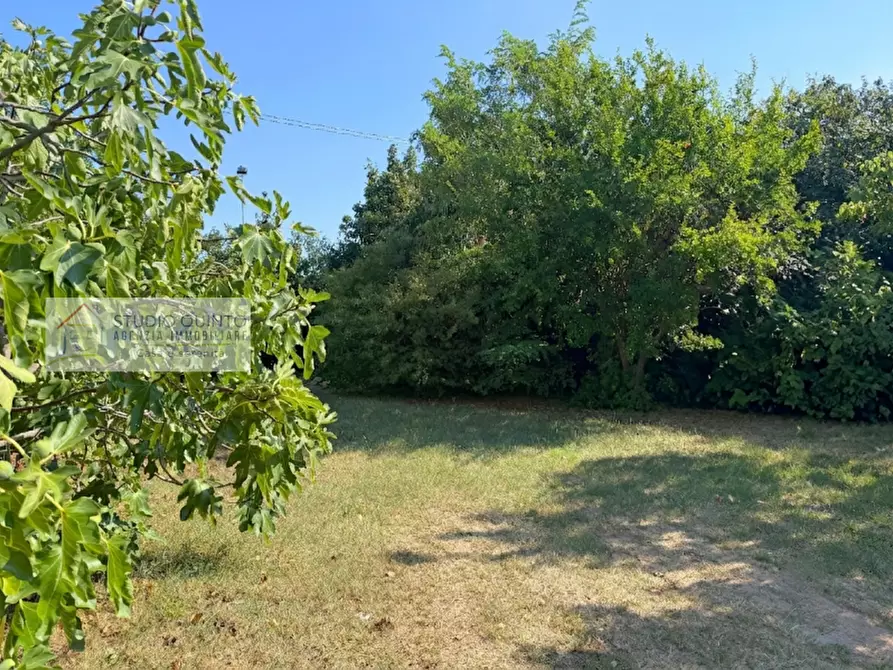 Immagine 4 di Casa bifamiliare in vendita  a Paese