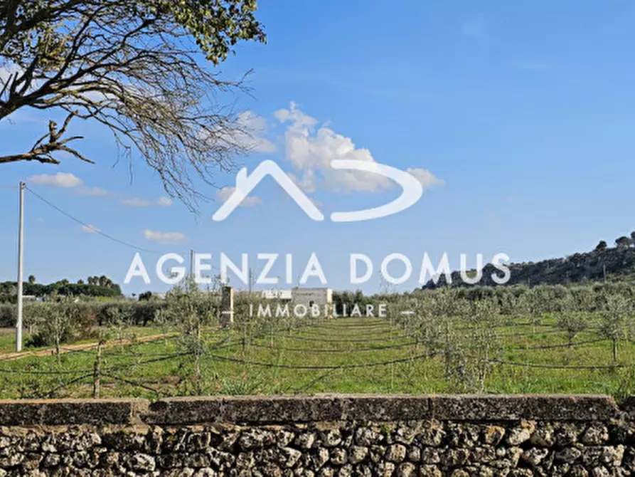 Immagine 2 di Terreno in vendita  a Racale