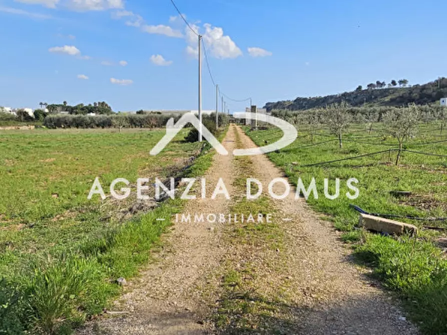 Immagine 3 di Terreno in vendita  a Racale