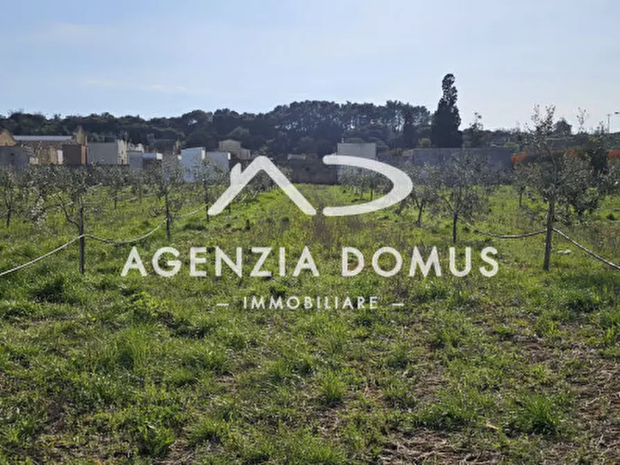Immagine 4 di Terreno in vendita  a Racale