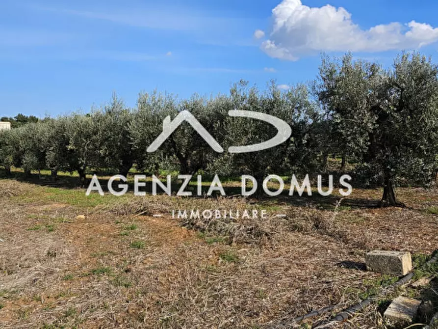 Immagine 5 di Terreno in vendita  a Racale
