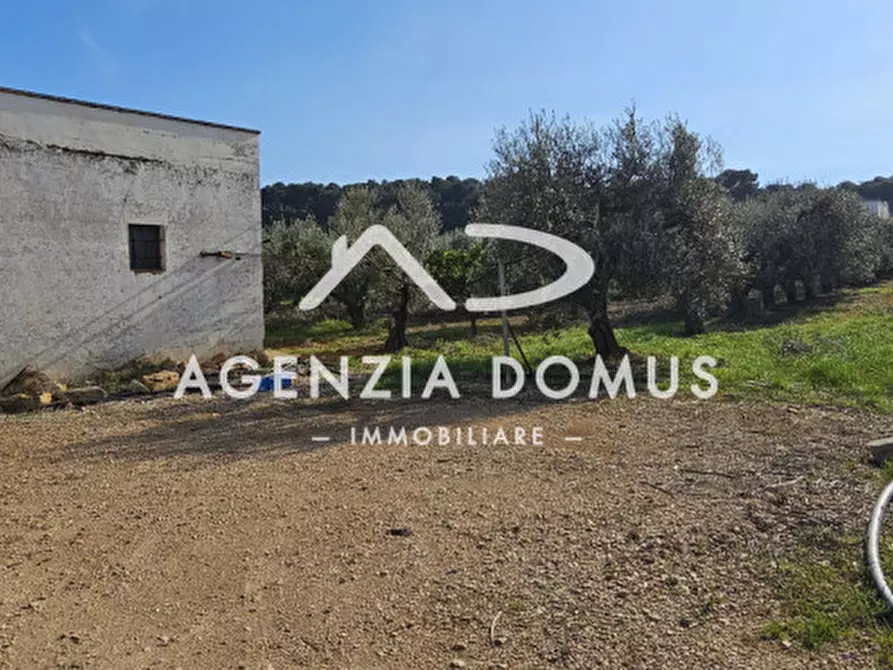 Immagine 7 di Terreno in vendita  a Racale