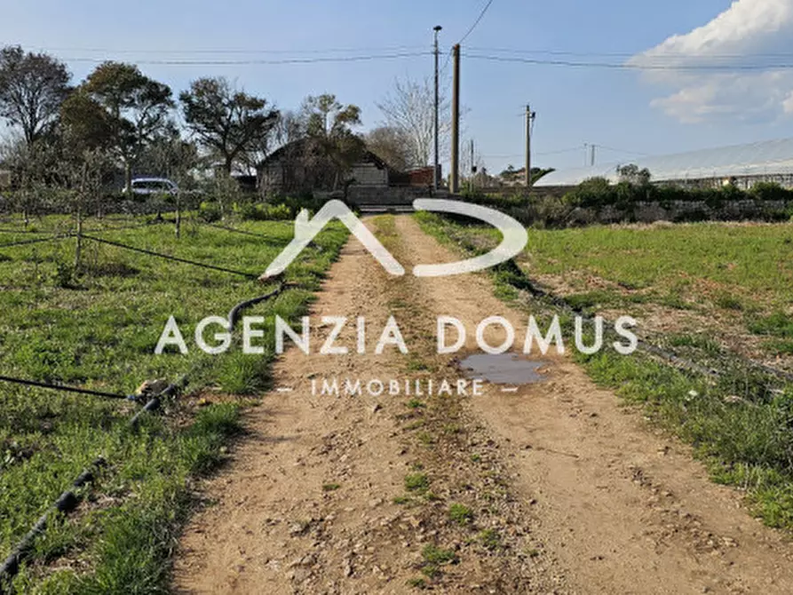 Immagine 8 di Terreno in vendita  a Racale