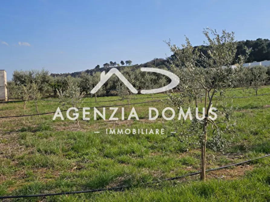Immagine 9 di Terreno in vendita  a Racale