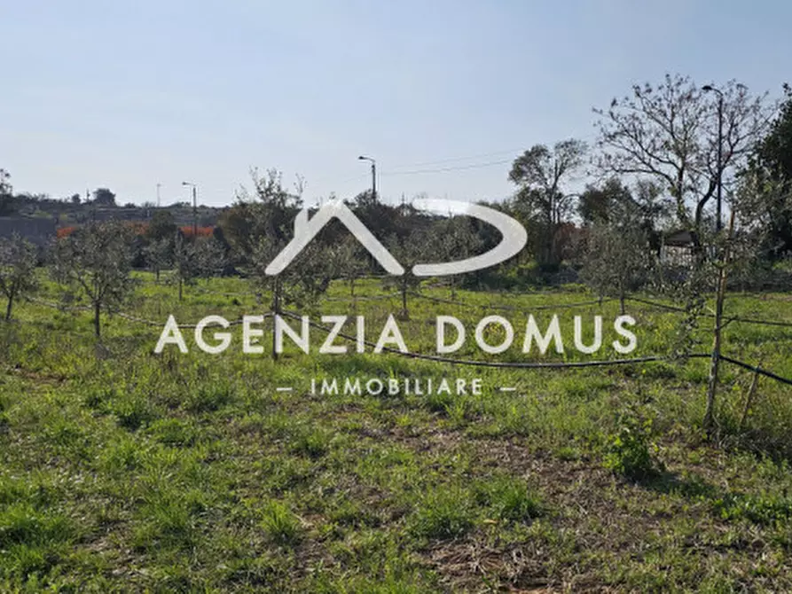 Immagine 10 di Terreno in vendita  a Racale