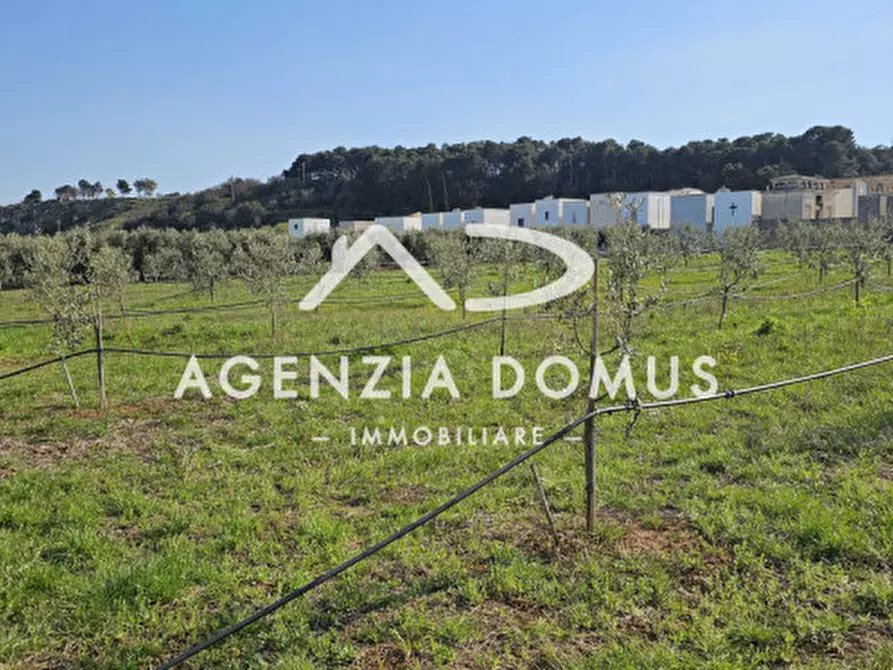 Immagine 13 di Terreno in vendita  a Racale