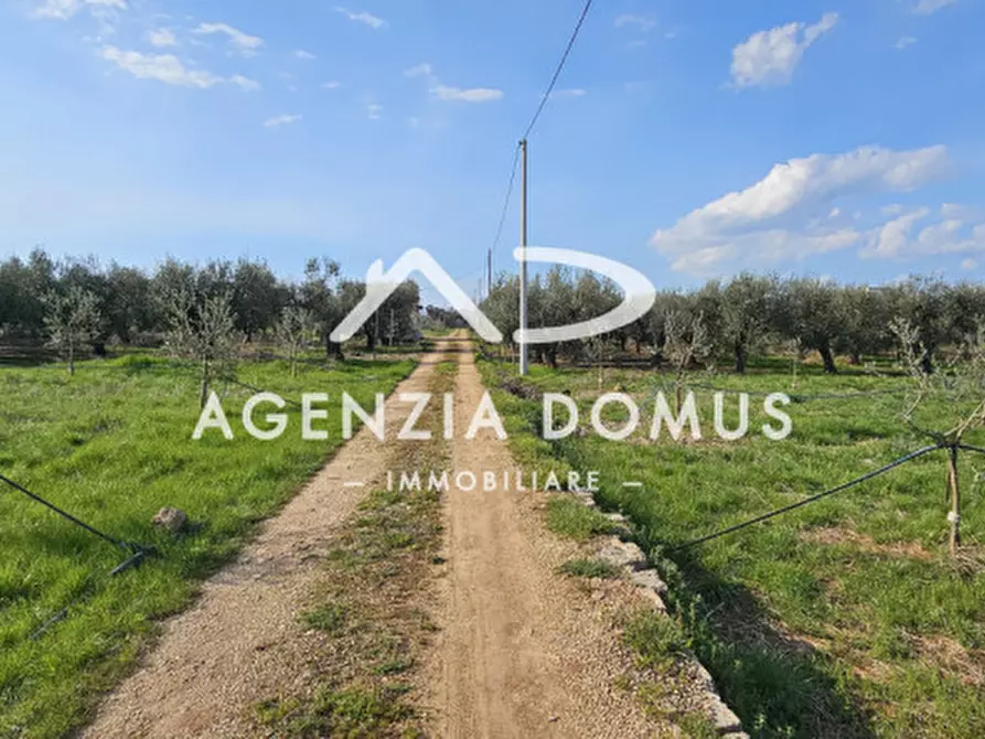 Immagine 14 di Terreno in vendita  a Racale