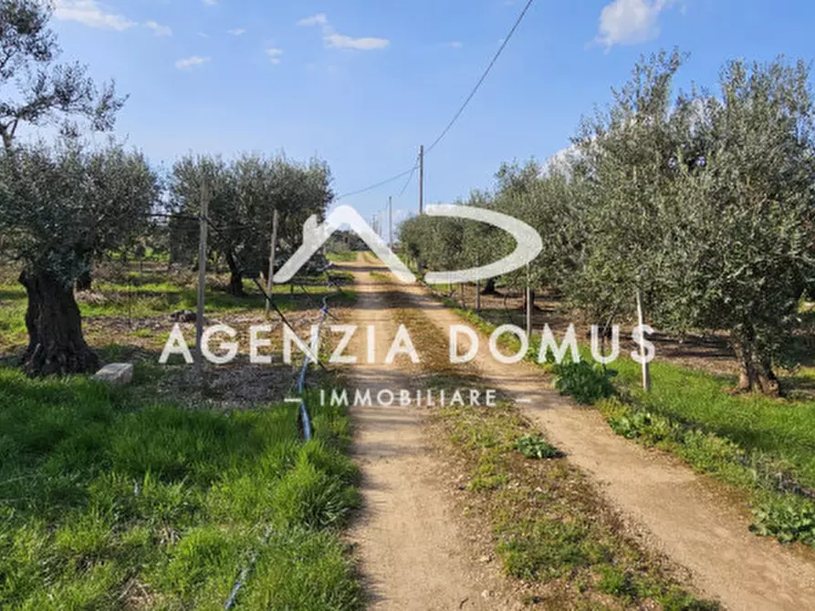 Immagine 15 di Terreno in vendita  a Racale