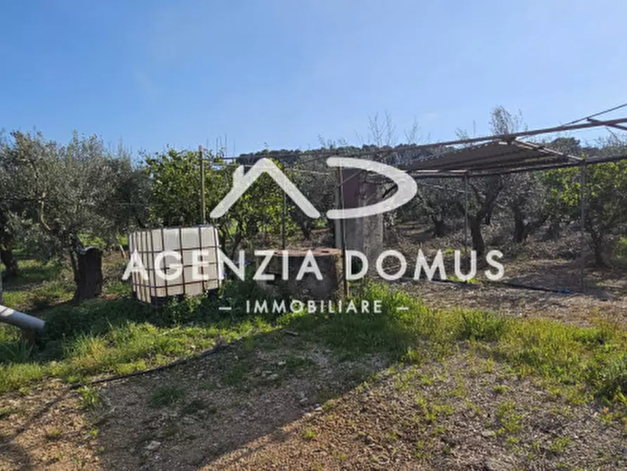 Immagine 17 di Terreno in vendita  a Racale
