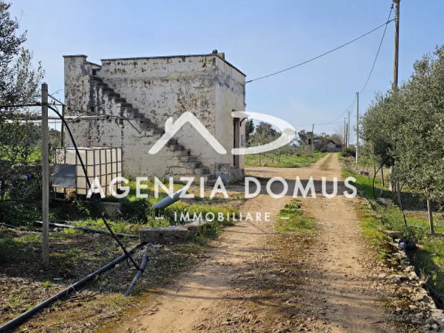 Immagine 19 di Terreno in vendita  a Racale