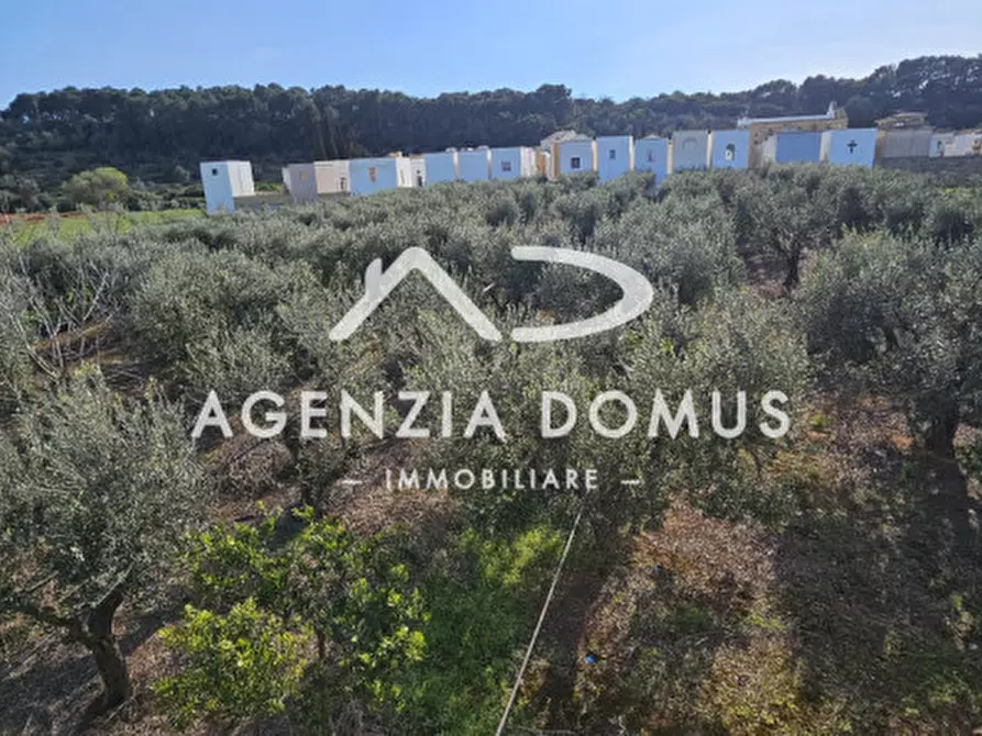 Immagine 20 di Terreno in vendita  a Racale