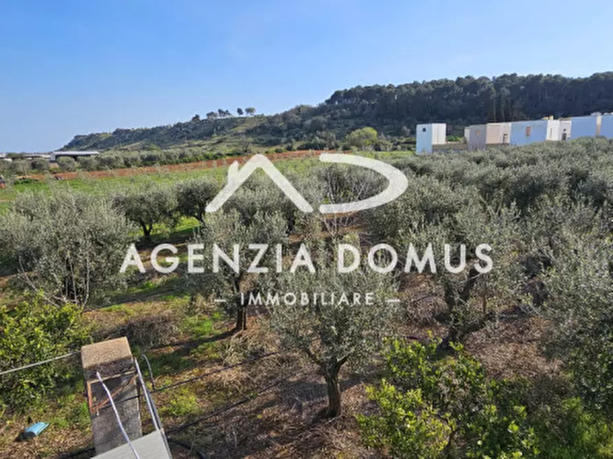 Immagine 21 di Terreno in vendita  a Racale