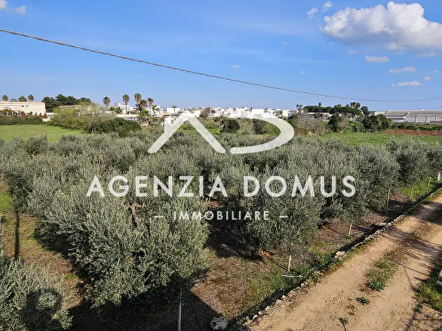 Immagine 22 di Terreno in vendita  a Racale