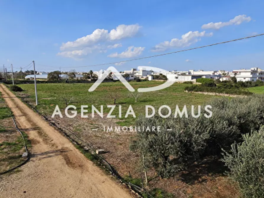 Immagine 23 di Terreno in vendita  a Racale