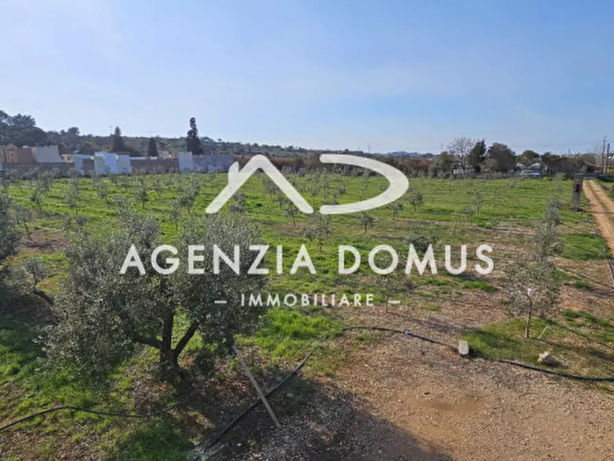 Immagine 24 di Terreno in vendita  a Racale