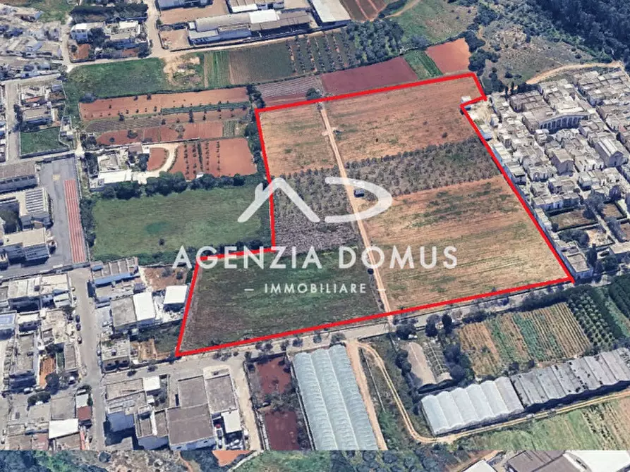 Immagine 25 di Terreno in vendita  a Racale