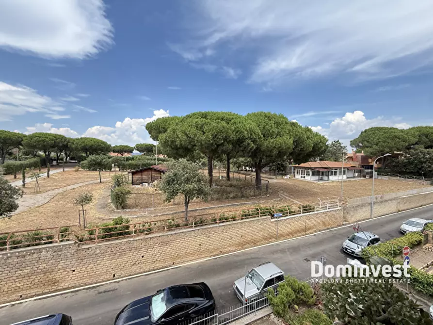Immagine 19 di Appartamento in vendita  in Via Marche a Capalbio