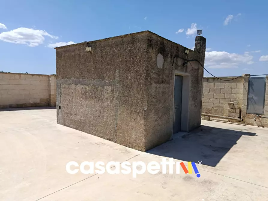 Immagine 20 di Casa indipendente in vendita  in Strada Provinciale Carpignano - Borgagne - Melendugno a Carpignano Salentino