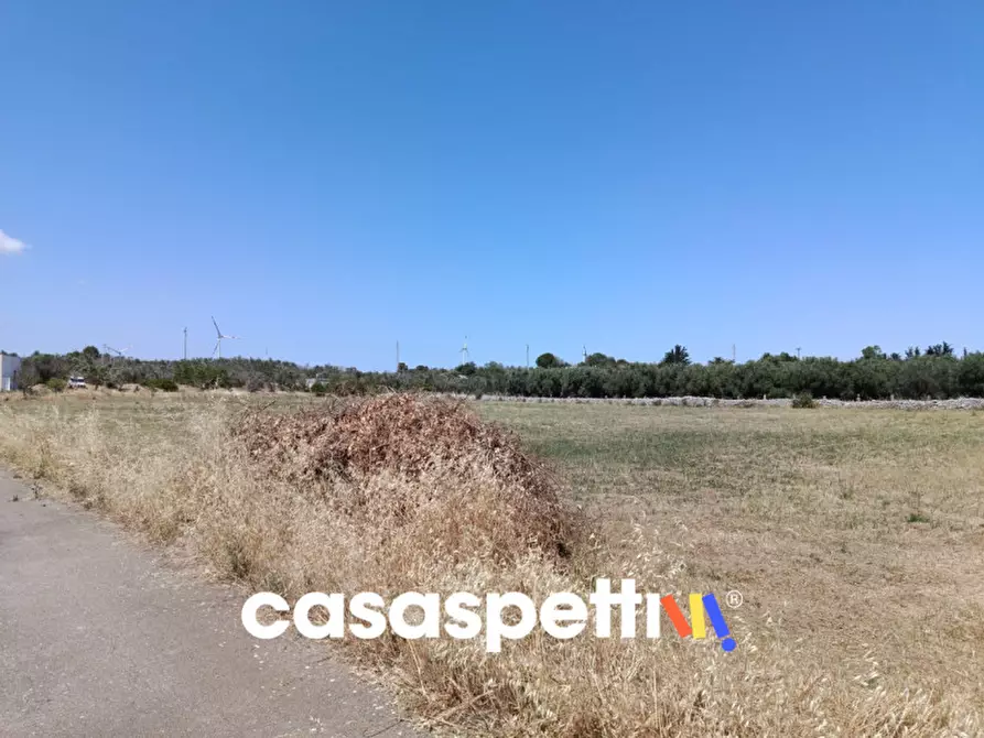 Immagine 27 di Casa indipendente in vendita  in Strada Provinciale Carpignano - Borgagne - Melendugno a Carpignano Salentino