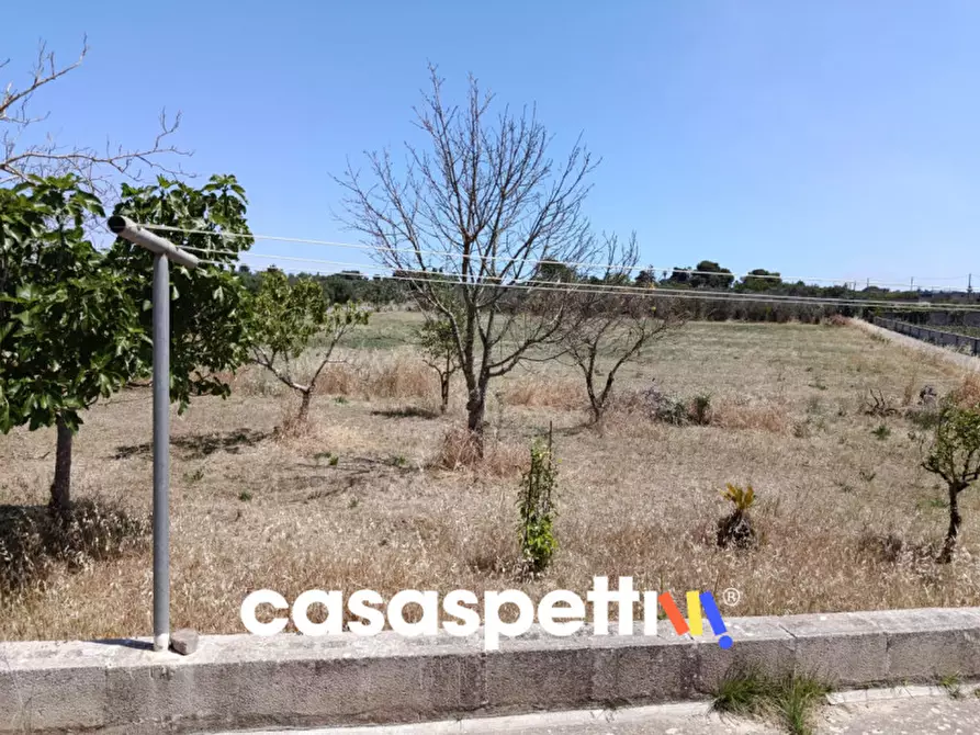 Immagine 28 di Casa indipendente in vendita  in Strada Provinciale Carpignano - Borgagne - Melendugno a Carpignano Salentino