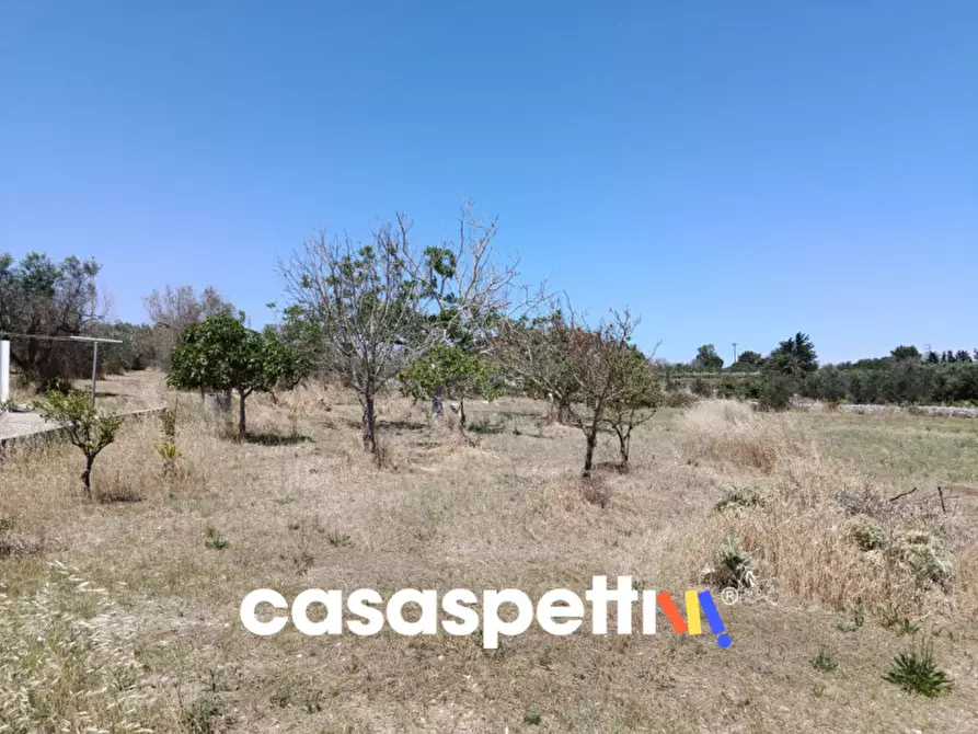 Immagine 29 di Casa indipendente in vendita  in Strada Provinciale Carpignano - Borgagne - Melendugno a Carpignano Salentino