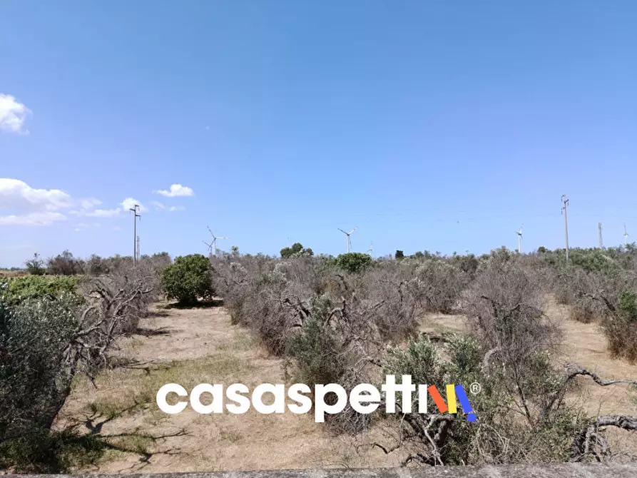 Immagine 32 di Casa indipendente in vendita  in Strada Provinciale Carpignano - Borgagne - Melendugno a Carpignano Salentino