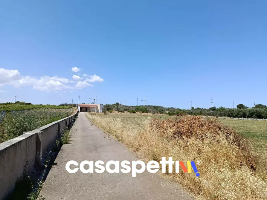 Immagine 33 di Casa indipendente in vendita  in Strada Provinciale Carpignano - Borgagne - Melendugno a Carpignano Salentino