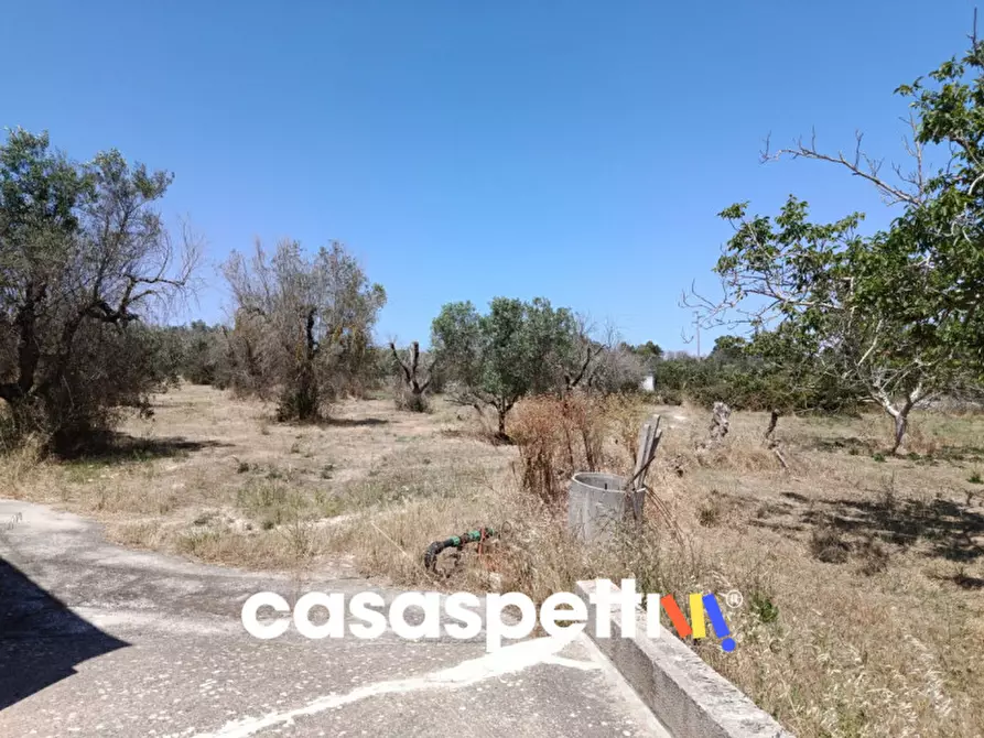 Immagine 34 di Casa indipendente in vendita  in Strada Provinciale Carpignano - Borgagne - Melendugno a Carpignano Salentino