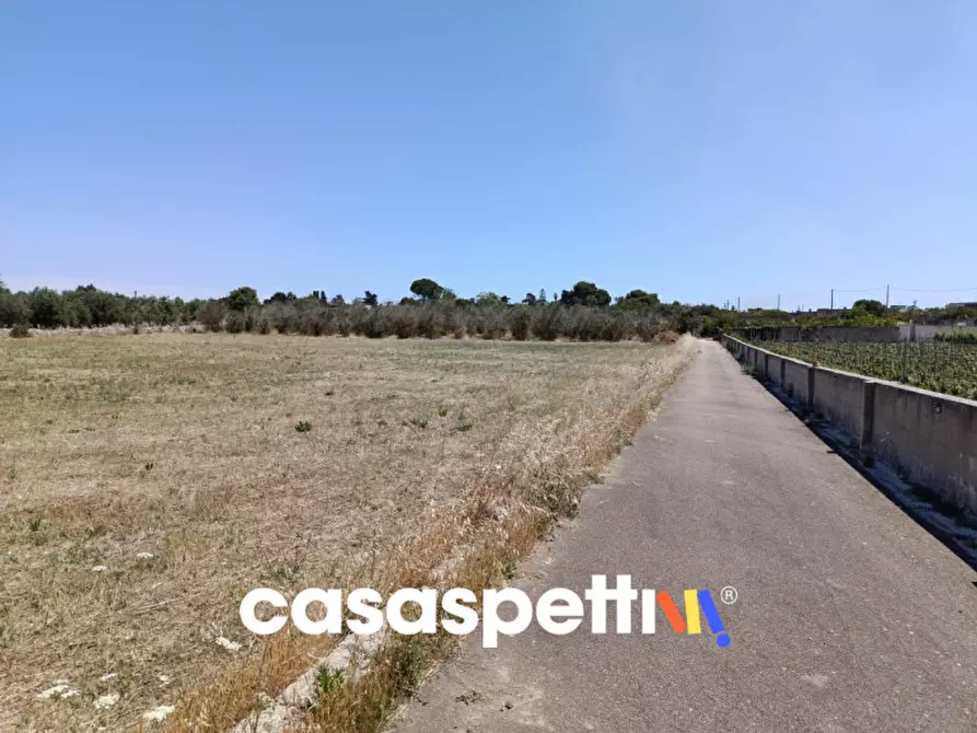 Immagine 35 di Casa indipendente in vendita  in Strada Provinciale Carpignano - Borgagne - Melendugno a Carpignano Salentino