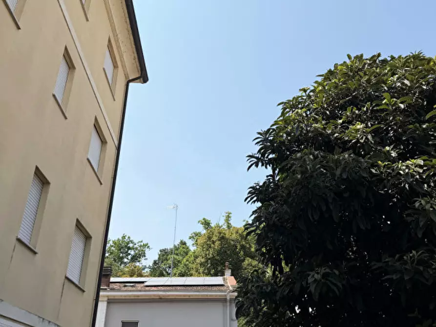Immagine 21 di Appartamento in vendita  in via al serraglio,1 a Colorno