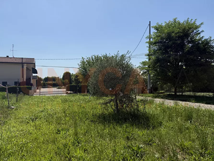 Immagine 12 di Magazzino in affitto  in Via della Pace a Mestrino