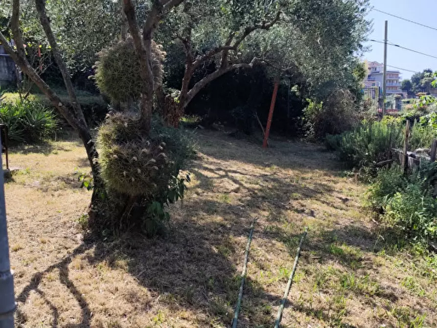 Immagine 15 di Appartamento in affitto  in Via Enrico Pietrafraccia a Rapallo