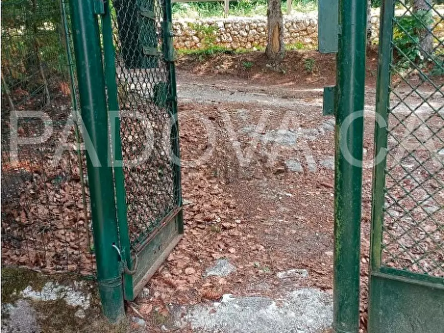 Immagine 7 di Casa indipendente in vendita  a Folgaria