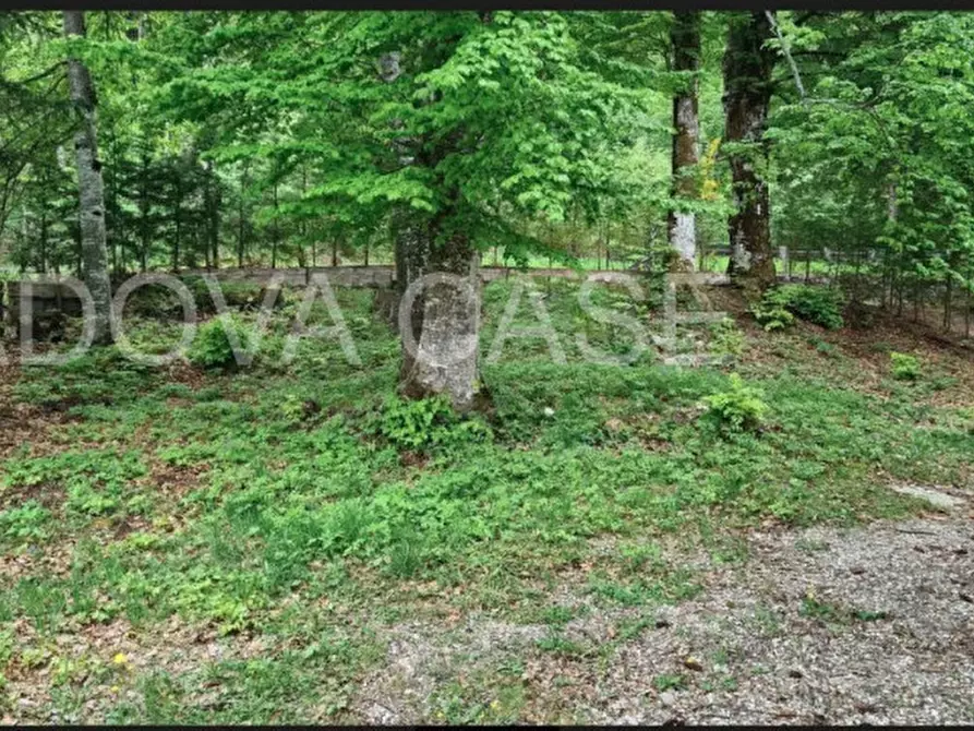 Immagine 9 di Casa indipendente in vendita  a Folgaria
