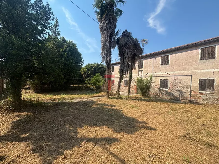Immagine 2 di Terreno in vendita  in Via G. Cipriano a Pernumia