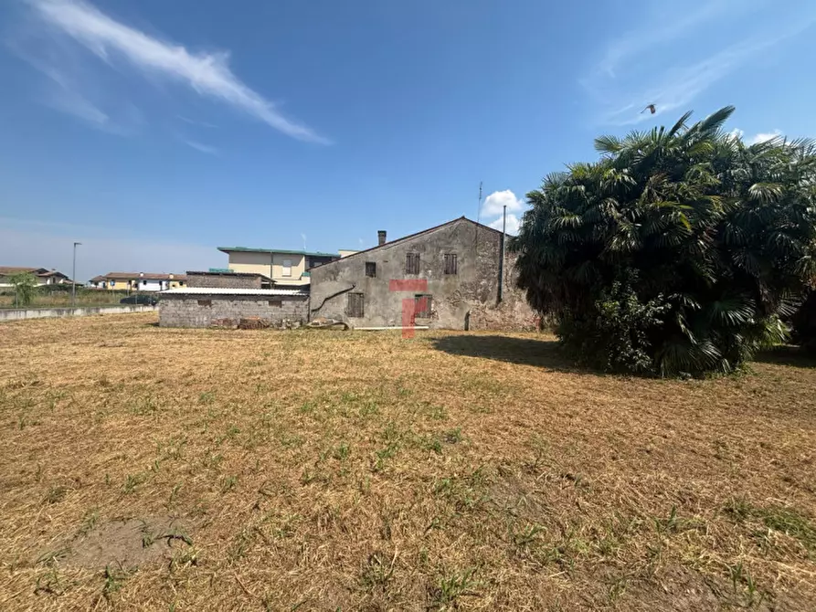 Immagine 3 di Terreno in vendita  in Via G. Cipriano a Pernumia