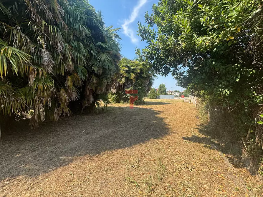 Immagine 4 di Terreno in vendita  in Via G. Cipriano a Pernumia