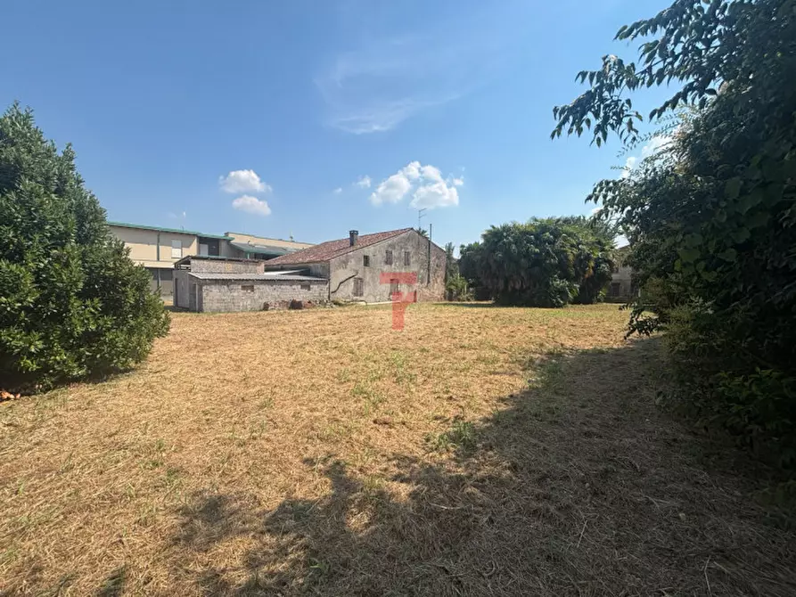 Immagine 15 di Terreno in vendita  in Via G. Cipriano a Pernumia