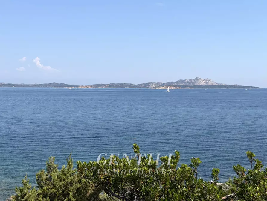 Immagine 30 di Appartamento in vendita  a Arzachena