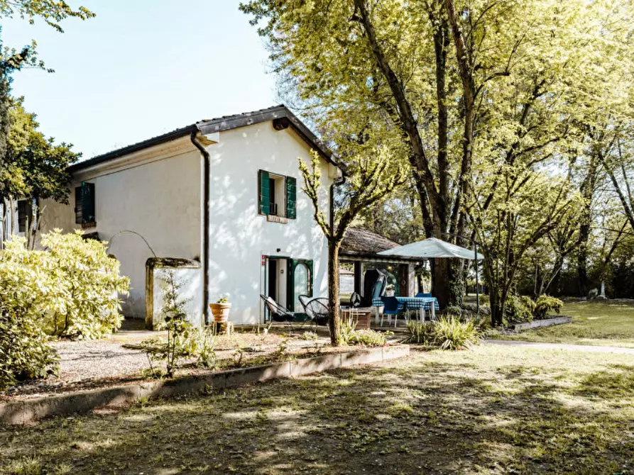 Immagine 45 di Villa in vendita  in strada statale di sotto a Cavezzo