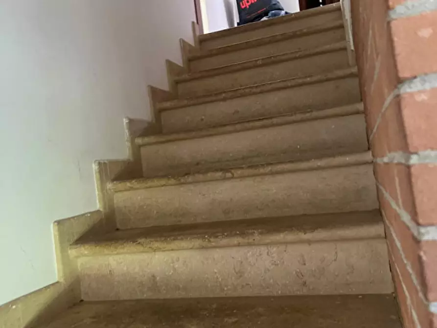 Immagine 19 di Casa trifamiliare in affitto  in via roma a Nanto