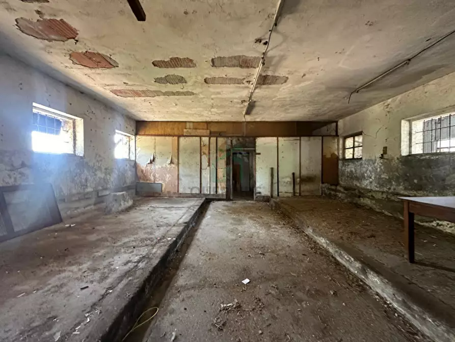Immagine 7 di Magazzino in affitto  in Strada dell'Alpo a Verona